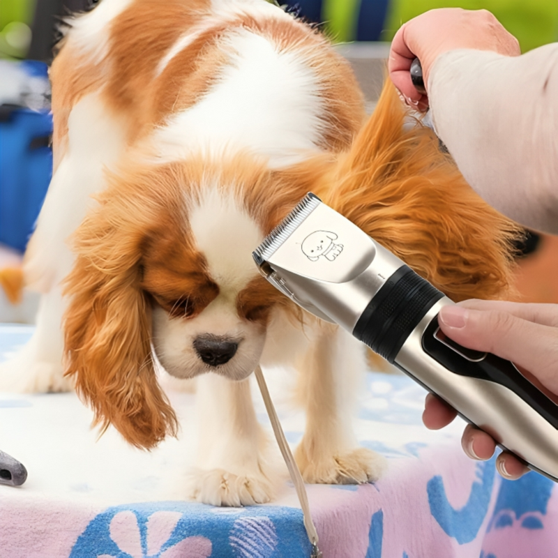 Pet Clipper Set